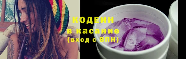 прущие грибы Абинск