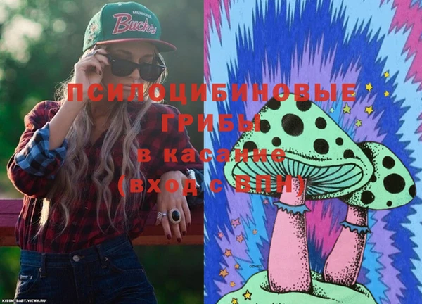 прущие грибы Абинск