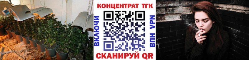 Дистиллят ТГК Wax  Дубна 
