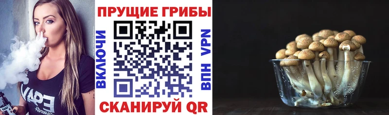 Галлюциногенные грибы мицелий  Дубна 