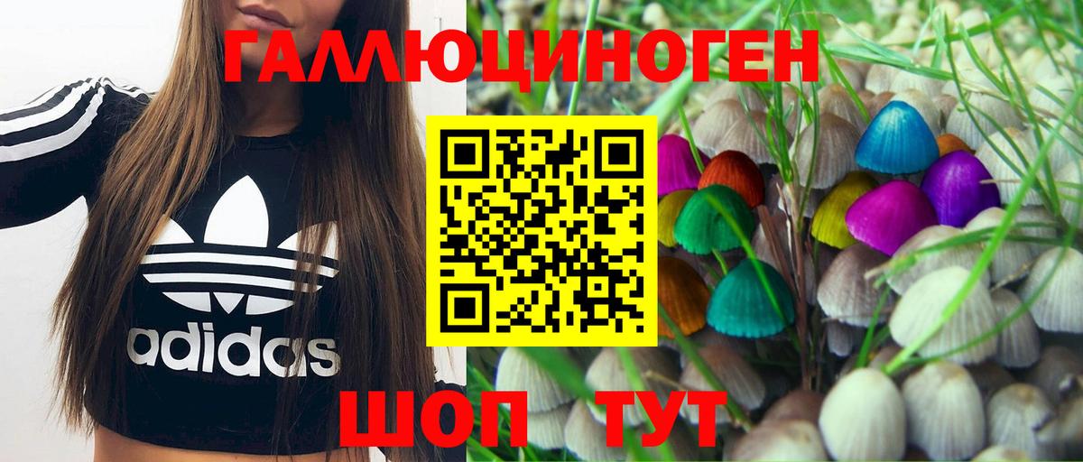 Псилоцибиновые грибы мицелий Дубна