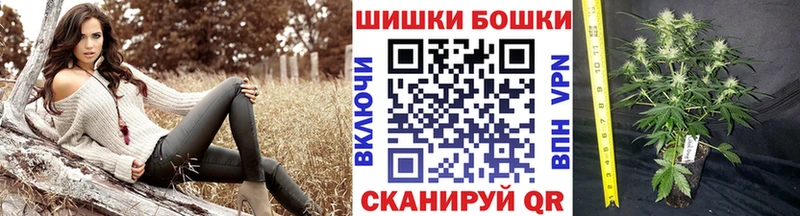 Конопля индика Дубна